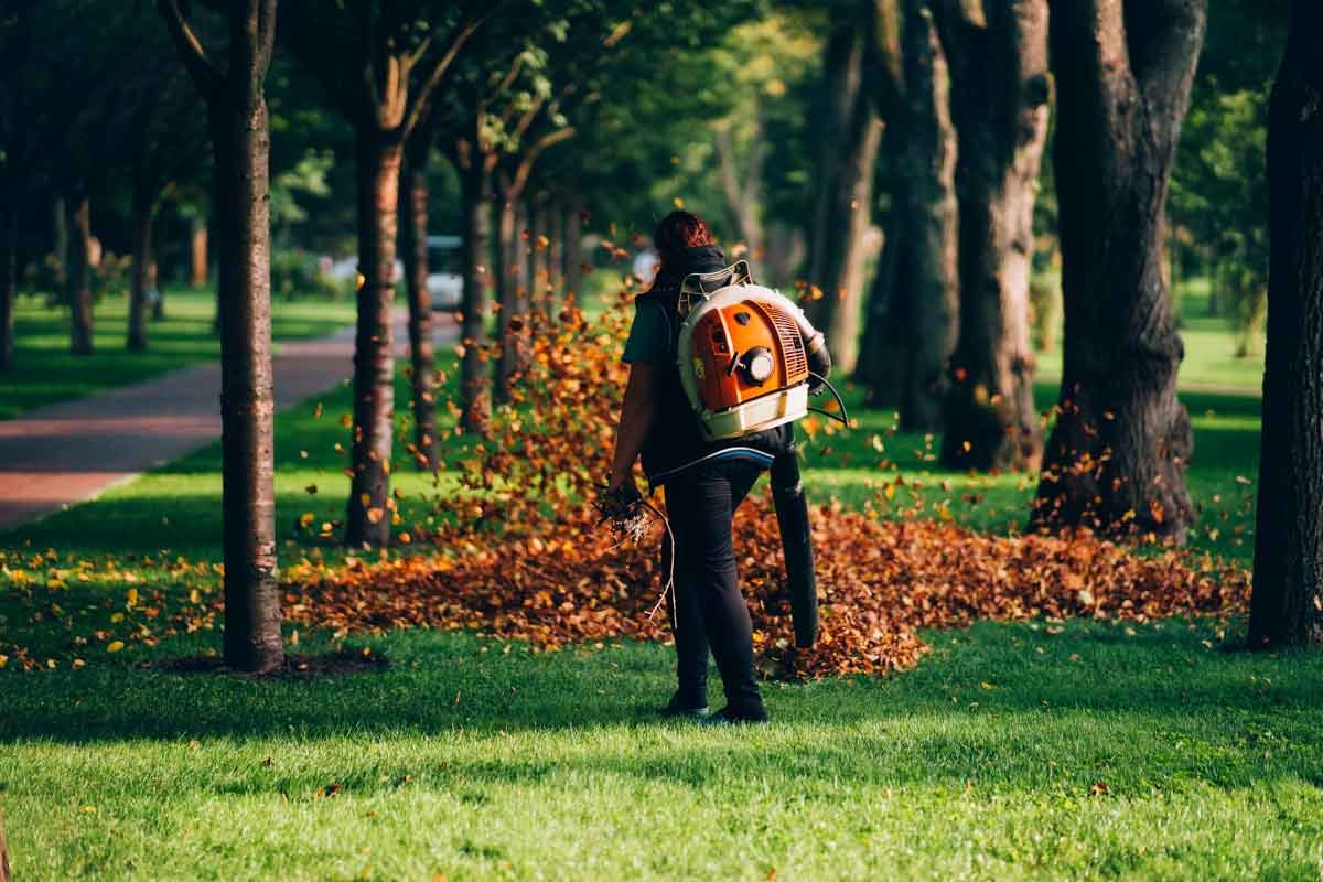 leaf removal