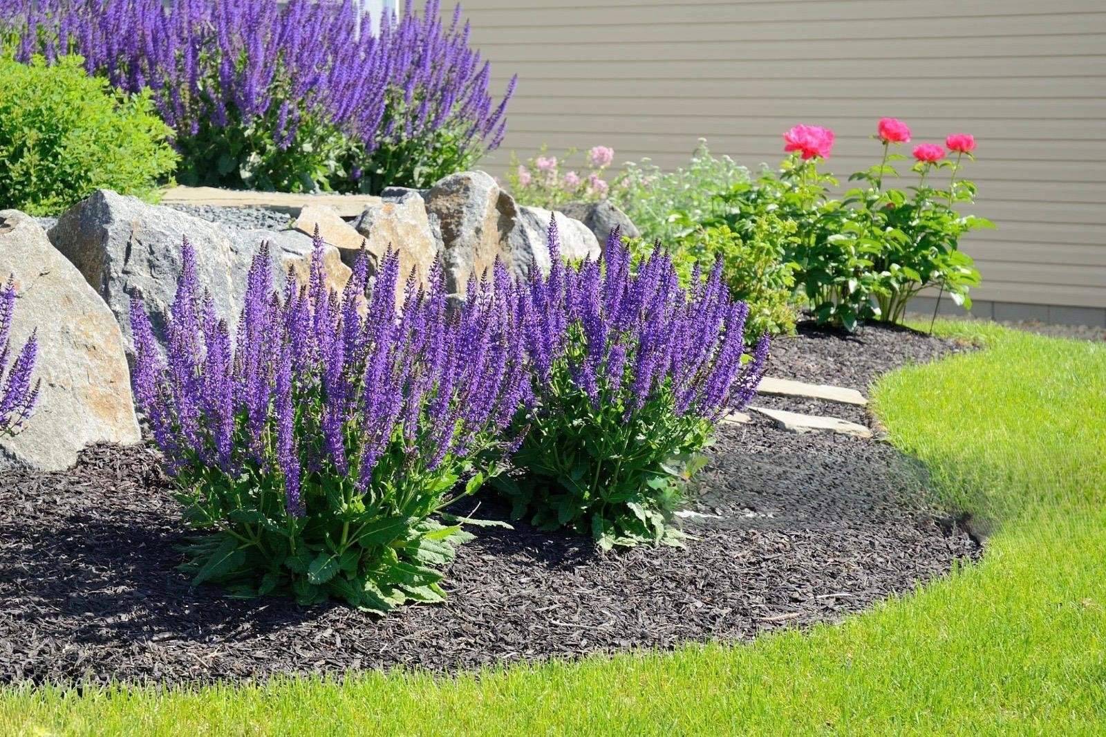 Mulching Company near me Mulching Company near me